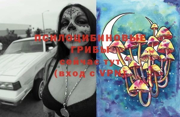 твердый Липки