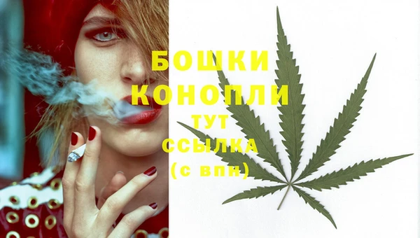 шишки Протвино