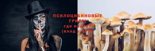 стаф Лабытнанги