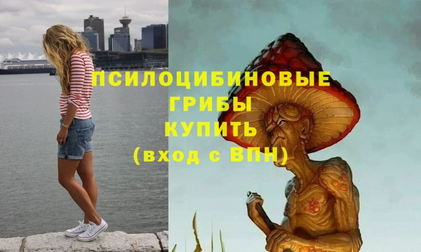 твердый Липки