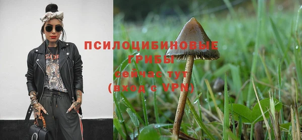 амф Новокубанск